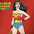 DC Comics Wonder Woman Classic Art Pose Surface Book 2 15in Skin